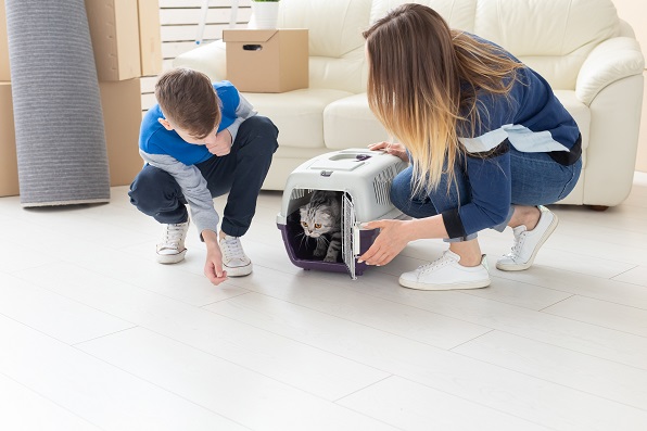 flooring-ideas-if-you-have-fur-babies-at-home