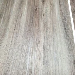 Glue Down LVT Color Motorcoach